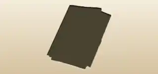 Case File