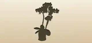Houseplant