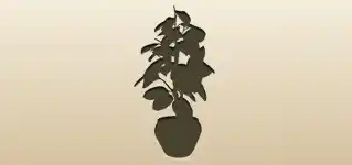 Houseplant
