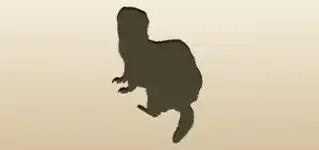 Ferret