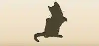 Cat silhouette