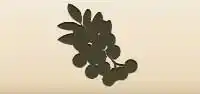 Rowanberries silhouette