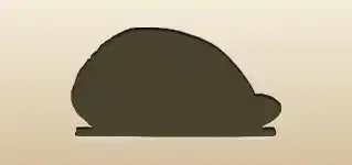 ハムのシルエット