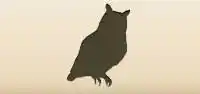 フクロウのシルエット