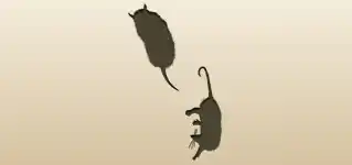 フクロネズミのシルエット