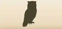 Owl silhouette
