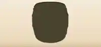 Barrel silhouette