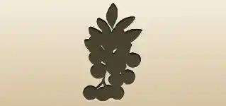 ローワンベリーのシルエット