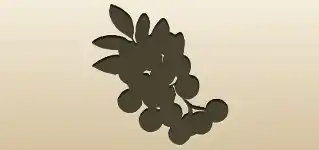 ローワンベリーのシルエット
