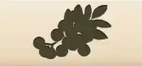 Rowanberries silhouette