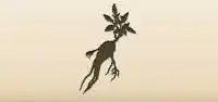Mandrake Root silhouette