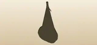 ハムのシルエット