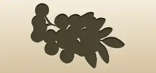 ローワンベリーのシルエット