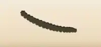 Beads silhouette