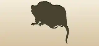 フクロネズミのシルエット