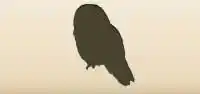 Owl silhouette