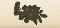 Rowanberries silhouette