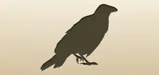 Crow