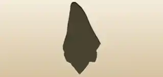 Handkerchief