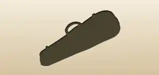 Violin Case