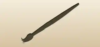 Paintbrush