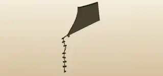 Kite