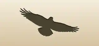 Crow