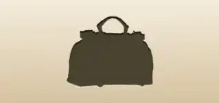 Travel Bag