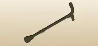 Walking Stick