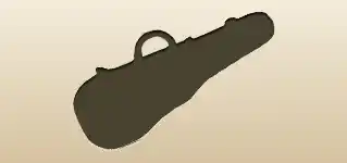 Violin Case