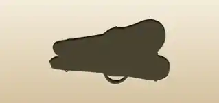 Violin Case