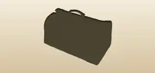 Travel Bag