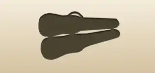 Violin Case