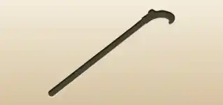 Walking Stick