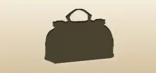 Travel Bag