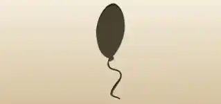 Balloon