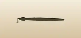 Paintbrush