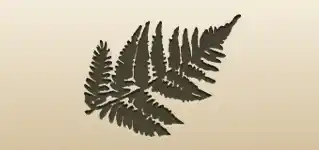 シダ植物