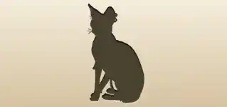 ネコ