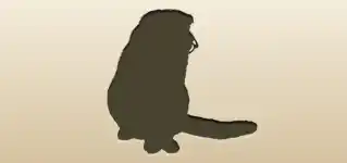 ネコ