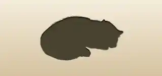 ネコ