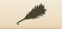 Feather Duster