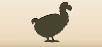 Dodo Bird