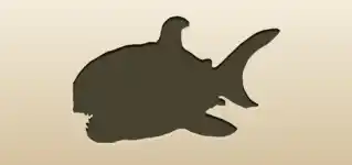 サメ