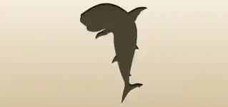サメ