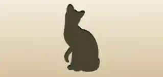 ネコ