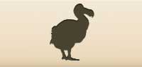 Dodo Bird silhouette