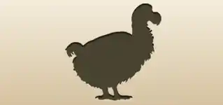 ドードー鳥