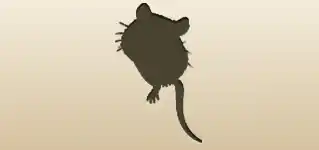ネズミのシルエット
