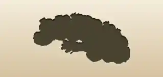 にんにくのシルエット